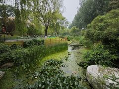 -燕郊植物园