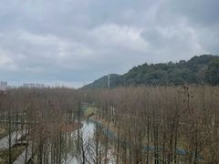 -云碧峰国家森林公园