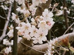 -信号山公园