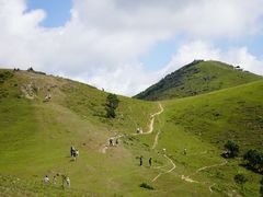 -大姆山草场