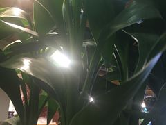 -阿鹏故事云南野生菌火锅(人民路店)
