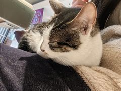 -Peet's Coffee皮爷咖啡(豫园店)