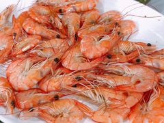 -红月湾海鲜饭店•沙滩海景(双月湾店)