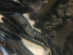 -洛阳龙门海洋馆
