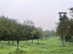 -白鹭湾湿地公园