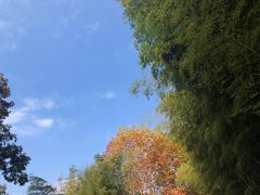 -苏州环秀晓筑养生度假村