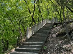 -帽儿山国家森林公园