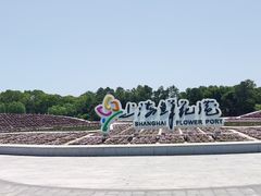 -上海鲜花港