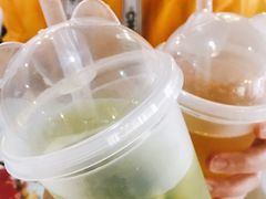 -Husky Go! 哈士奇体验馆·宠物咖啡厅狗咖