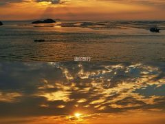 -枸杞岛