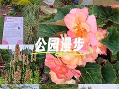 -上海植物园-4号门售票处
