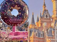 -上海迪士尼度假区