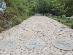 -十渡东湖港风景区