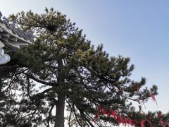 -终南山南五台景区