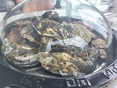 -前王院•巧克力海鲜市集餐厅(万平口店)