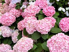 -上海长风大悦城