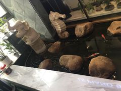 -乐尚音乐空间·钢琴·声乐·架子鼓(会展中心店)