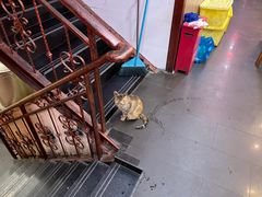 -老北京热气涮羊肉·小龙虾·烤鱼(呼玛路店)