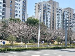 -狮子山(地铁站)