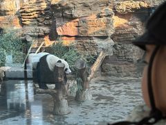 -石家庄市动物园