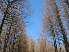 -山王坪喀斯特国家生态公园