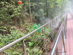 -宁波五龙潭景区