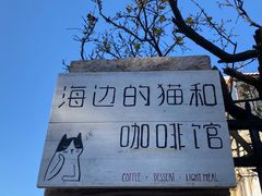 -海边的猫和咖啡馆