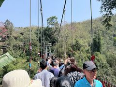 -西双版纳原始森林公园