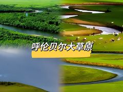 -呼伦贝尔大草原