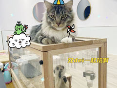 -猪盟咖啡店(玖洲道店)