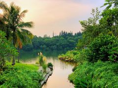 -深圳仙湖植物园