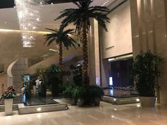 -常州环球恐龙城维景国际大酒店