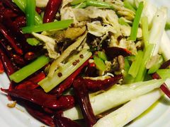 -青叶202都市餐厅(迪诺水镇店)