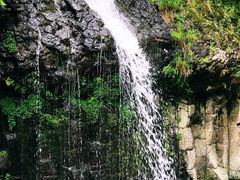 -望天鹅景区