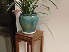 -荷风细雨·中国茶宴(碧云店)