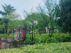 -荷风细雨·中国茶宴(碧云店)