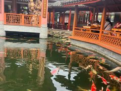-香麒园·过桥米线·南湖雅宴