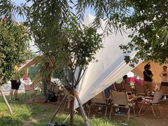 -WE ME 伴山营地·城市露营·团建策划