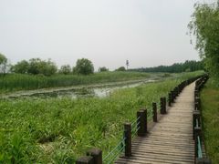 -苏州太湖湖滨国家湿地公园