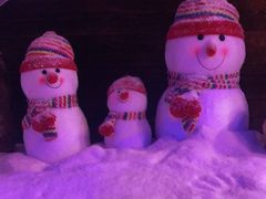 -挂雪铁锅炖大鹅
