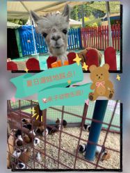 -萌宠亲子动物乐园(槐房万达店)