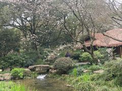 -中国茶叶博物馆(双峰馆区)