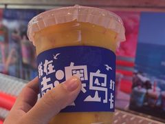 -南澳岛打卡果汁冰公司