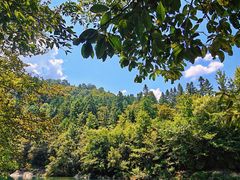 -石台牯牛降景区