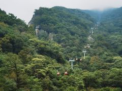 -牛背梁国家森林公园