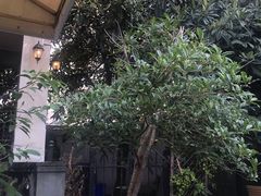 -二楼南书房