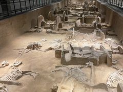 -洛阳周王城天子驾六博物馆