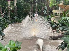 -广州长隆野生动物世界