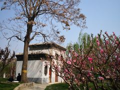 -团结湖公园