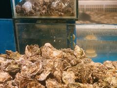 水产区-星伦多自助料理·涮烤一体(嘉兴八佰伴店)